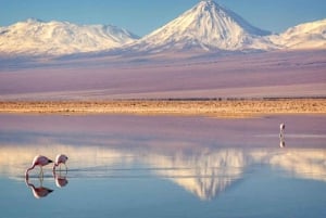 SAN PEDRO DE ATACAMA - UYUNI VIP PRYWATNA USŁUGA