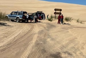 Santa Cruz: Lomas de Arena Sandboard