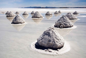 Semi-private: 3D salt flat and colored lagoons private hotel