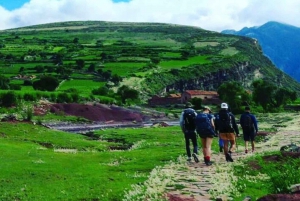 Sucre : excursion d'une journée au cratère de Maragua - empreintes de dinosaures