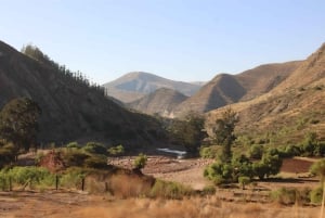 Potosí: Walking Tour Through History, Culture and Traditions