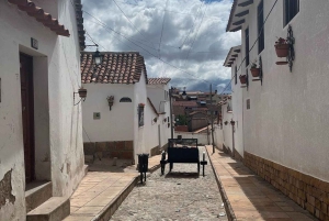 Sucre: Een dag doorbrengen met het verkennen van de historische wijk van de stad