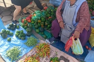 Sucre: Kurser i traditionel madlavning