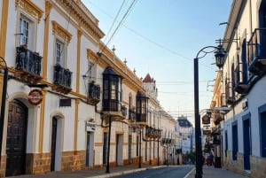 Sucre: Free Walking tour (History, culture and traditions)