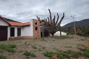 Sucre: Hike, Explore & Discover Monte Villca Protected Park