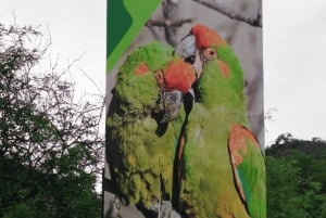 Sucre: Hike, Explore & Discover Monte Villca Protected Park