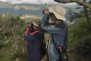 Sucre: Hike, Explore & Discover Monte Villca Protected Park