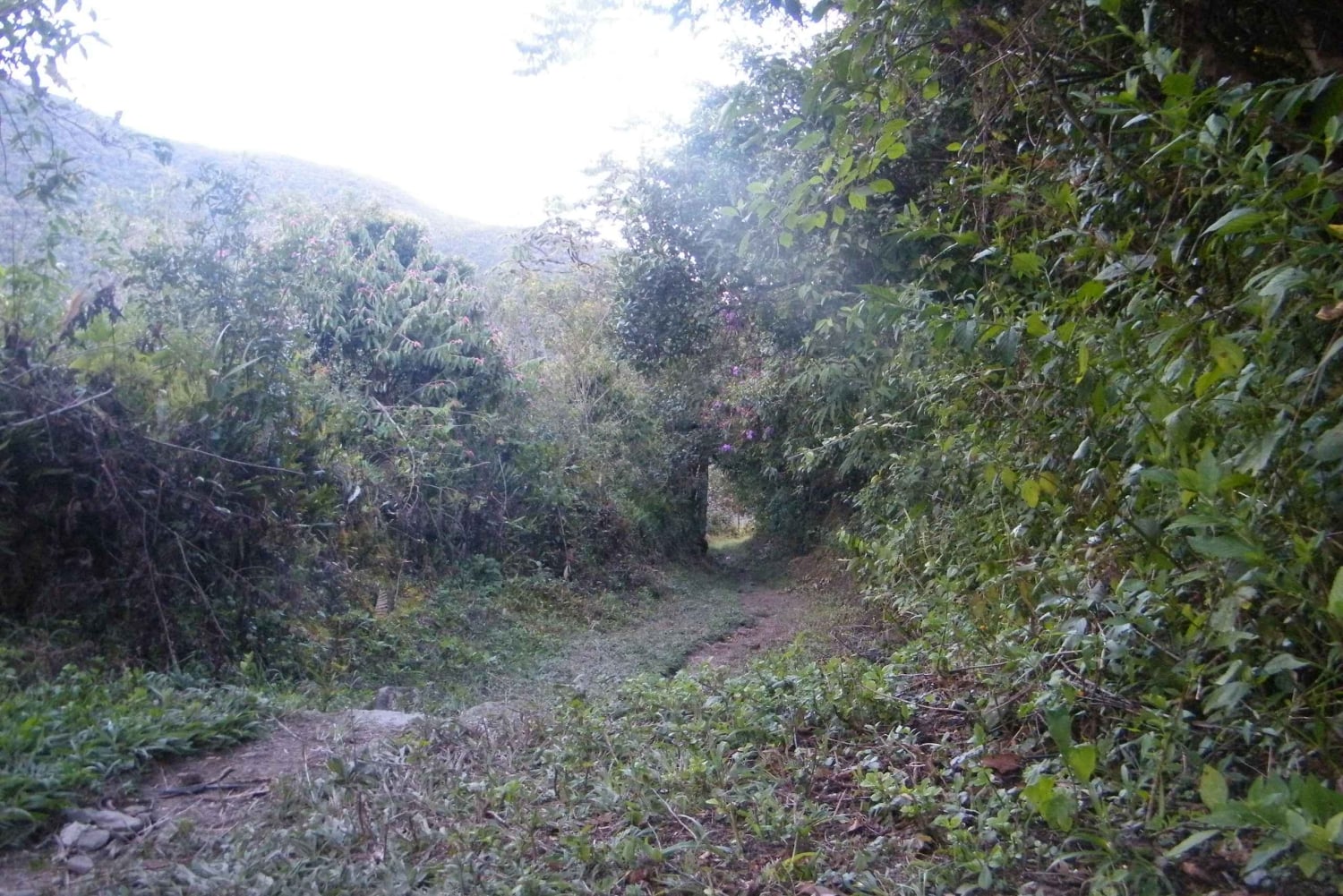 Der Choro Trek ist ein extremes Abenteuer