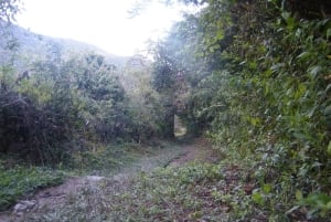 Choro Trekk on äärimmäinen seikkailu