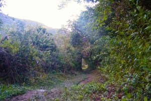 Choro Trekk on äärimmäinen seikkailu