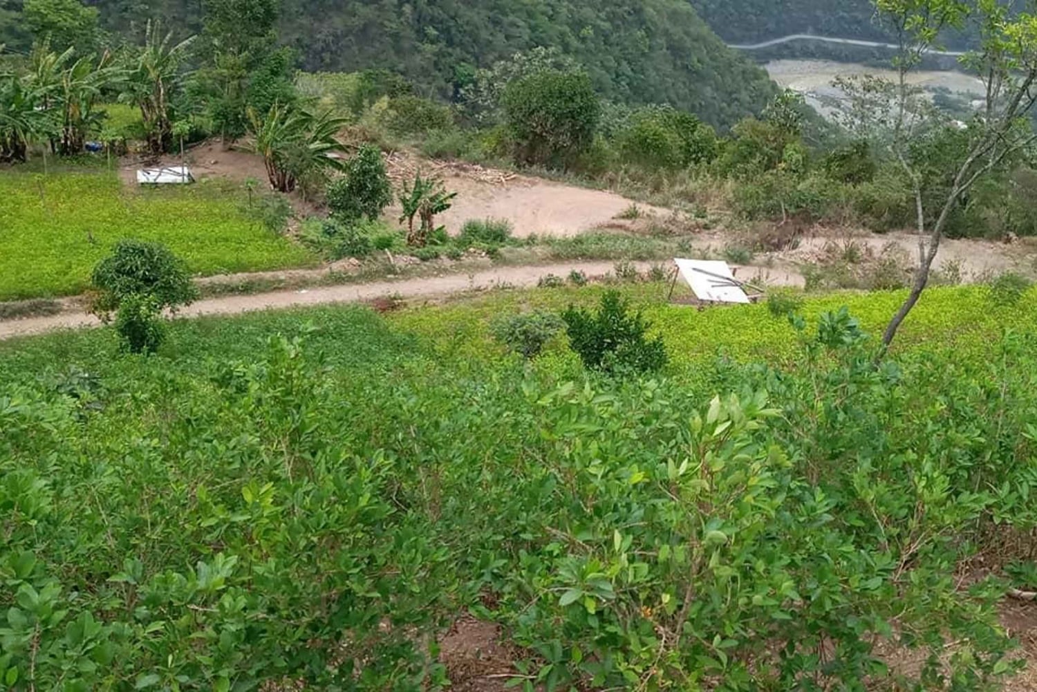 Amboro National Park 2 Dias 1 Noche (noth Side)