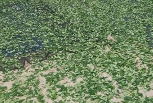 Amboro National Park 2 Dias 1 Noche (noth Side)