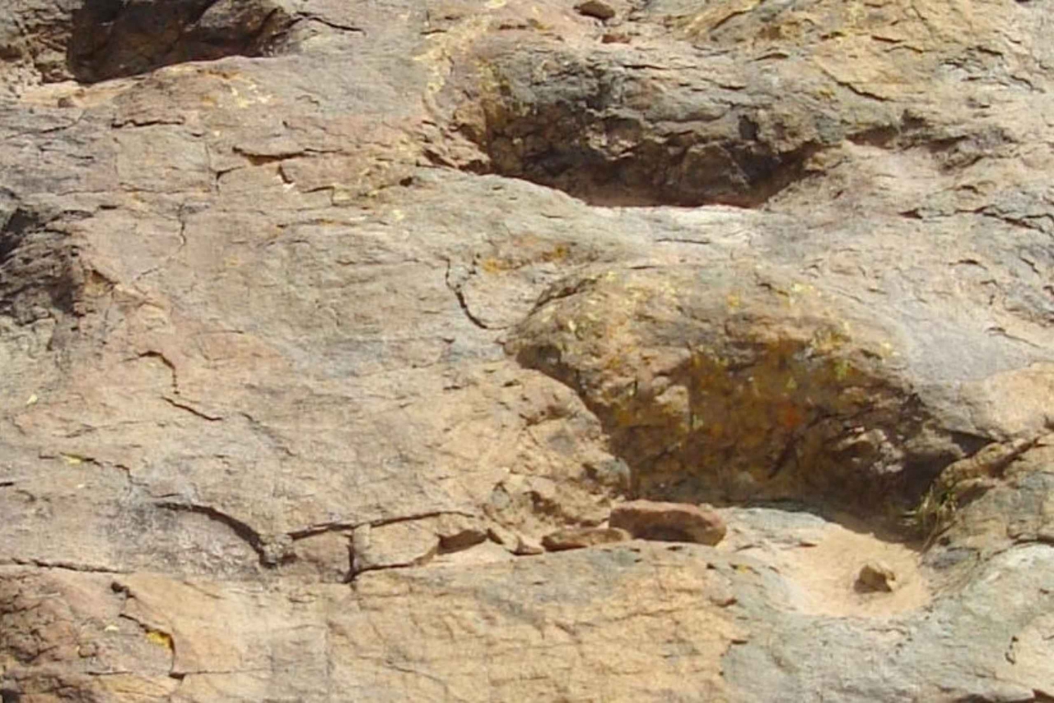 Tiwanaku und Puma Punku mit Mittagessen