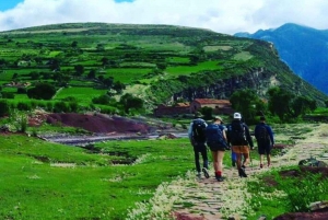 Tiwanaku et Puma Punku avec déjeuner