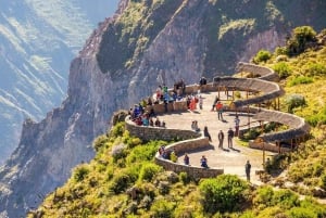 Tour - Colca Canyon Trekking 2D1N with Final in Puno