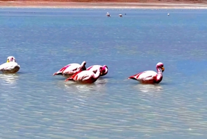 Visite guidée : SALAR DE UYUNI_3 JOURS 2 NUITS