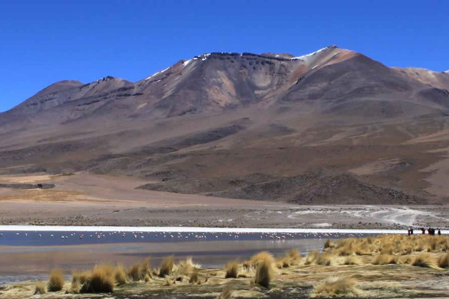 Wycieczka Salar de Uyuni 3D/2N /Laguna Colorada/Geiser/Flamingos