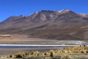 Wycieczka Salar de Uyuni 3D/2N /Laguna Colorada/Geiser/Flamingos