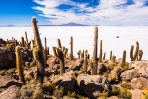 Transturin: Uyuni Salt fuld dag - Privat Service Grundlæggende