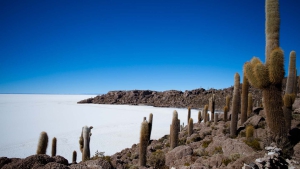 Transturin: Uyuni Salt ganztägige Tour – privater Service