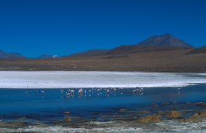 Transturin: Sal - Lagunas - Uyuni - San Pedro Atacama 3 días - 2 noches