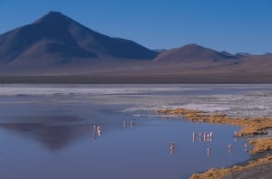 Transturin: Uyuni Salt - Laguner - Uyuni - San Pedro Atacama 3 dagar - 2 nätter