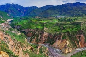 Tur til Colca Canyon 2 dager + transport til Puno med måltider