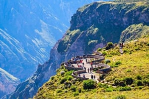 Reise zum Colca Canyon 2 Tage + Transfer nach Puno mit Mahlzeiten