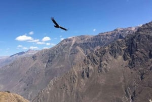 Reis naar Colca Canyon 2 Dagen + Transfer naar Puno met Maaltijden