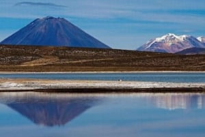 Tur til Colca Canyon 2 dager + transport til Puno med måltider