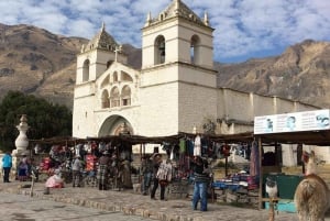 Viaje al Cañón del Colca 2 Días + Traslado a Puno con Comidas