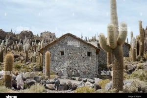 Vulkan Tunupa und Salar de Uyuni, 2-tägiger Ausflug.