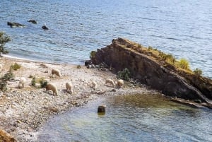 Circuit de deux jours sur le lac Titicaca avec hébergement chez l'habitant