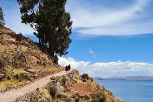 Uros and Taquile Island Boat Trip from Puno