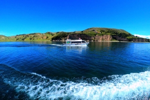 Uros & Taquile Day Trip-Culture, Lunch & Lake Experience