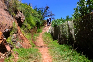 Uros & Taquile Day Trip-Culture, Lunch & Lake Experience