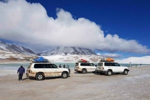 Uyuni: Dagstur med salta lägenheter och ökenäventyr