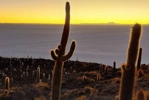 Uyuni: Tour de 1 día de Aventura por el Salar y el Desierto