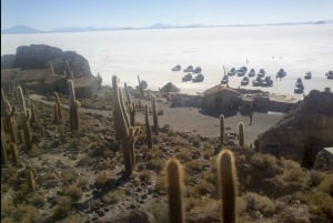 Saltfladen Uyuni fra La Paz