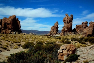 Uyuni: 2-day tour to the salt flat and altiplanic lagoons