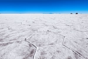 Uyuni: 2-Day Uyuni Salt Flats and Tunupa Volcano Tour