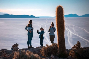 Uyuni: Excursión guiada de 3 días al Salar y al Parque Nacional Avaroa