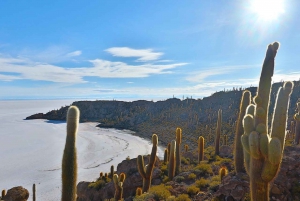 Uyuni: 3-Day Salar de Uyuni and Eduardo Avaroa Reserve Tour