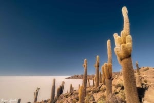 Uyuni: 3-Day Salar de Uyuni and Eduardo Avaroa Reserve Tour