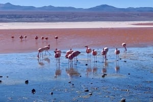 Uyuni: 3-Day Salar de Uyuni and Eduardo Avaroa Tour