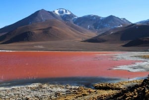 Uyuni: 3-Day Salar de Uyuni, Laguna Colorada, and Laguna …