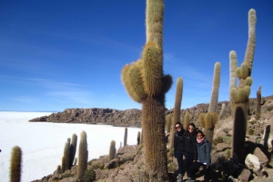 Excursão de 3 dias a Uyuni: Tudo Incluído com Quartos Privados