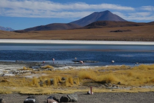 Uyuni: excursão privada de 3 dias Salar de Uyuni e lagoa colorida