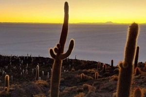 Uyuni: Excursão de 3 dias de aventura no deserto e nas salinas