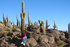 Från La Paz: Nattbuss till Uyuni med hotellupphämtning